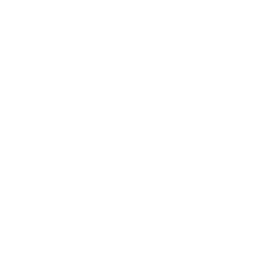 Back on Track PT Footer logo in white